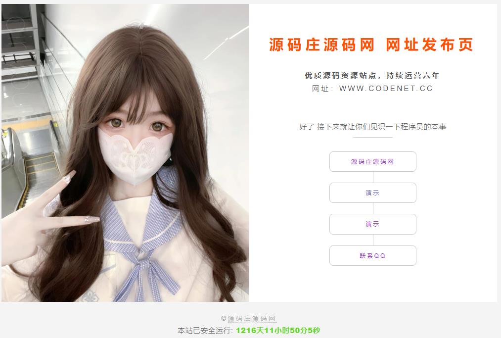 最新简约美观的网址网站引导页HTML源码