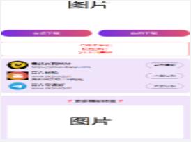 2024首发最火的软件宣传单页源码