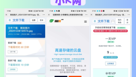 运营版闪客储存某客同款系统源码
