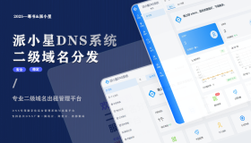 【免费】2025派小星DNS二级域名分发公测免费版
