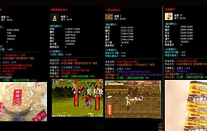 独家-动漫之王32大陆-单职业-GOM/HD-智能刷怪