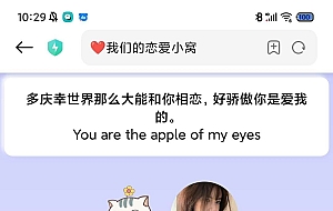 恋爱记录，情人节，适合情侣使用520专用源代码