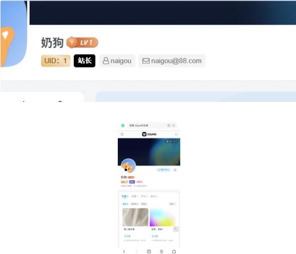 子比主题 用户tag标签自定义插件