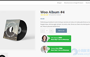 WordPress插件：WhatsApp Chat for WordPress v3.7.1 破解版下载