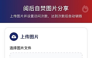 图片阅后自焚源码