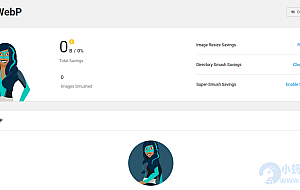 WordPress图片优化插件–Smush Pro v3.19.1 破解版下载