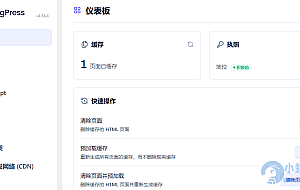 WordPress优化加速插件–FlyingPress v5.0.0 破解版