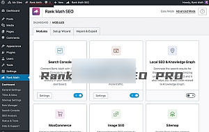 WordPress SEO插件–Rank Math Pro v3.0.89 破解版下载