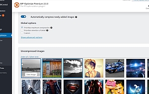 WordPress优化插件–WP-Optimize Premium v4.2.2 破解版下载