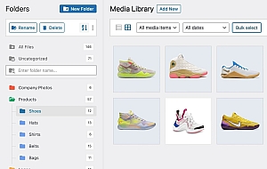 WordPress 媒体库文件夹管理插件–FileBird Pro v6.4.8 破解版
