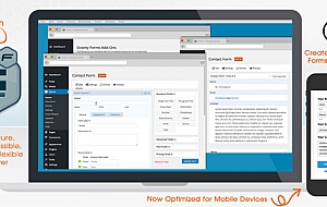  WordPress 表单插件–Gravity Forms v2.9.9 破解版下载