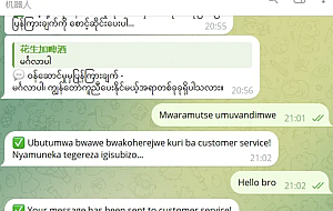 Telegram AI全自动翻译客服机器人源码/带视频搭建教程