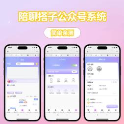 陪聊搭子公众号系统源码