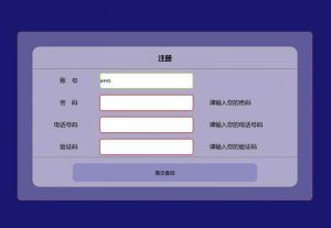 简单的注册表单必填代码