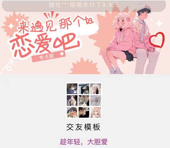 9.9元付费进群系统独立版 v6.0 VIP版