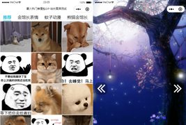 云开发最火热门表情包微信小程序源码/带自动采集带流量主