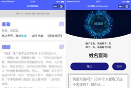 多功能起名查重工具微信小程序源码