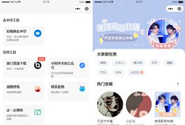 多接口带头像挂件制作小程序源码/短视频去水印微信小程序源码