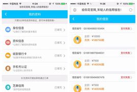 最新短信宝版借贷系统源码 仿给你花分期含支付 仿给你花小额贷款系统源码