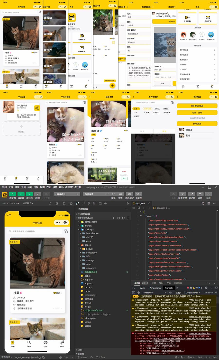 用于校园流浪猫信息记录和分享的小程序源码/微信云开发中大猫谱小程序源码