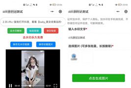 简约短视频去水印加图片多样化加水印微信小程序源码下载支持多流量主