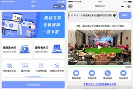 新版多功能去水印工具微信小程序源码下载+带流量主功能