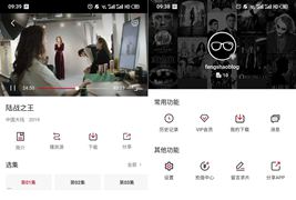 苹果CMS内核小龟影视双端APP源码