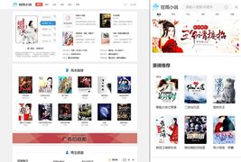 狂雨小说系统带全部插件/真正可以运营的小说站点系统源码
