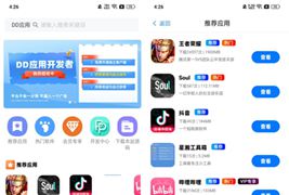 DD应用系统软件库网站源码
