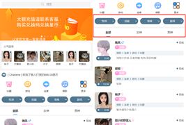 游戏陪玩语音聊天系统3.0商业升级独立版本源码