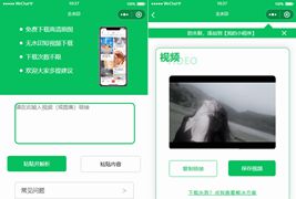 最新去水印小程序源码分享/无需后台/对接接口/支持全网去水印功能