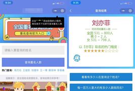 同名在线查询系统微信小程序源码下载支持多种流量主