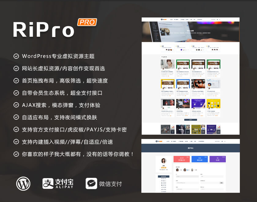 RiPro v5.8 破解授权版WordPress资源下载类主题
