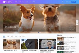 WordPress主题JustNews 5.7.3去授权完美破解版（附原版）