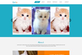 静态的猫咪宠物网站模板html下载