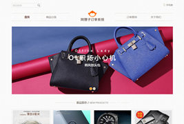 阿狸子订单系统豪华版/单页商城购物订单系统/支持分销模块与多套单页模板/支持多个支付接口