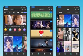 WordPress微信精品高清壁纸下载小程序/最近卖的很火的流量主高收益壁纸小程序