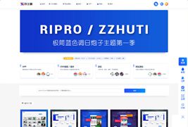 RIpro子主题logohe美化/WordPress虚拟资源分享主题ripro子主题美化