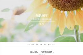 WordPress博客主题Puma,简洁响应式主题