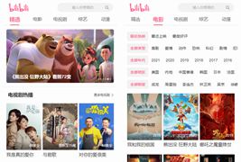 精仿B站源码/Bilibili视频网站源码+自动采集360视频