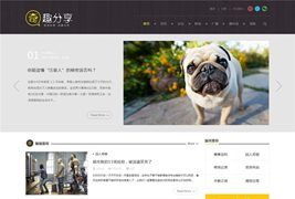 奇趣分享综合趣事百科文章类型discuz模板